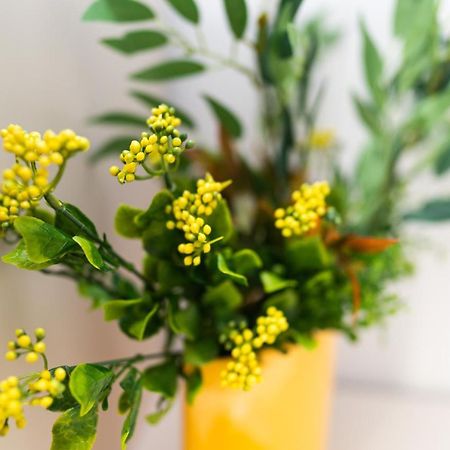 Forest M,Constanta Valu lui Traian Ngoại thất bức ảnh