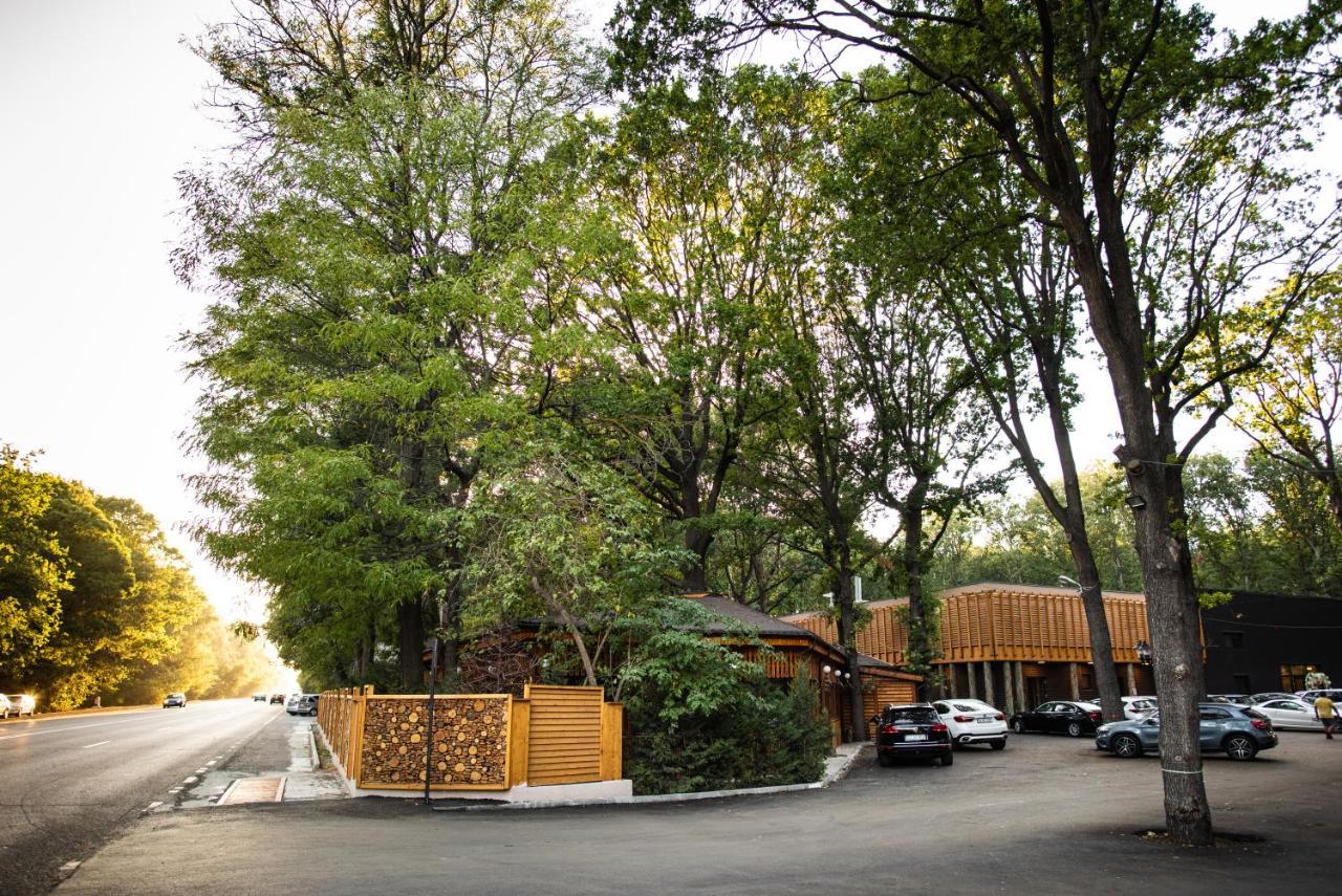 Forest M,Constanta Valu lui Traian Ngoại thất bức ảnh