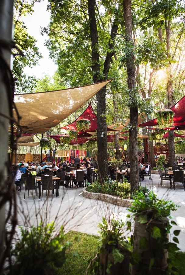 Forest M,Constanta Valu lui Traian Ngoại thất bức ảnh
