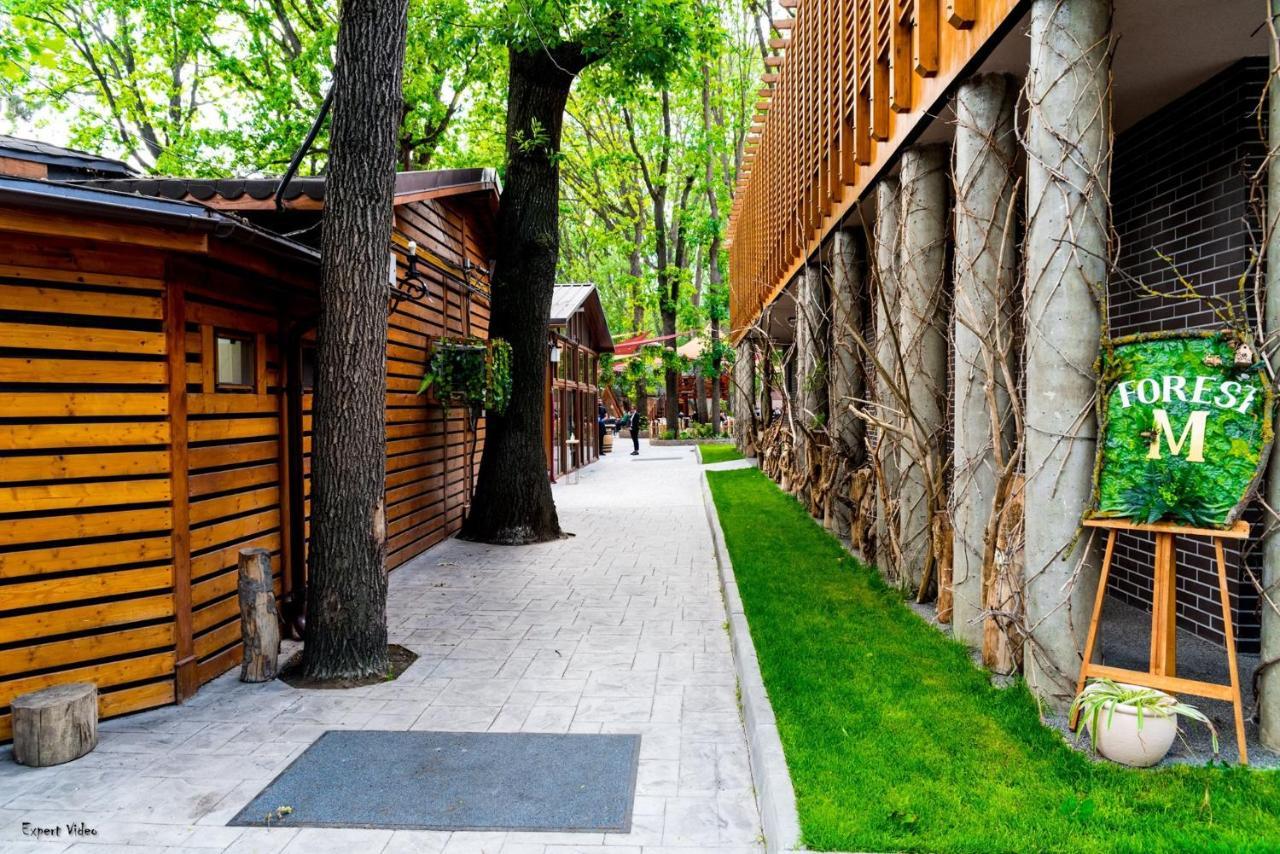 Forest M,Constanta Valu lui Traian Ngoại thất bức ảnh